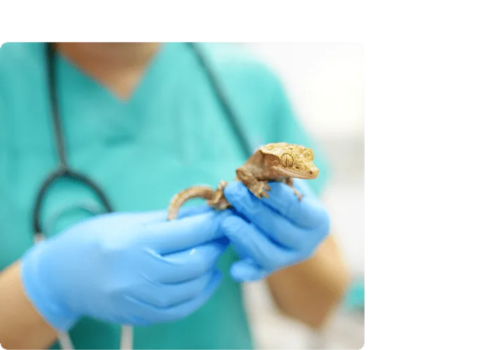 业务图片4_right_v2